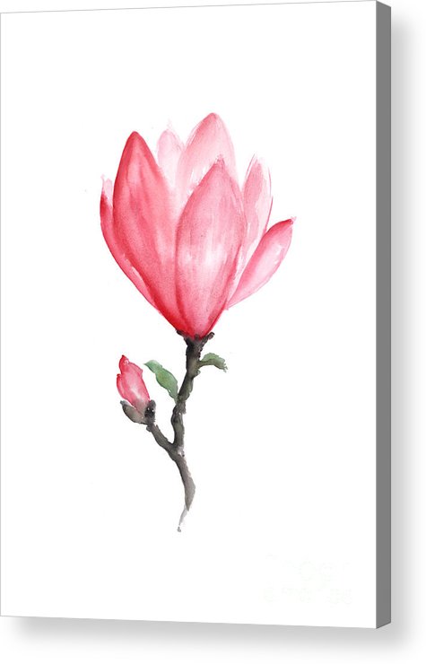 475x740 magnolia abstract flower drawing acrylic print - Magnolia Drawing