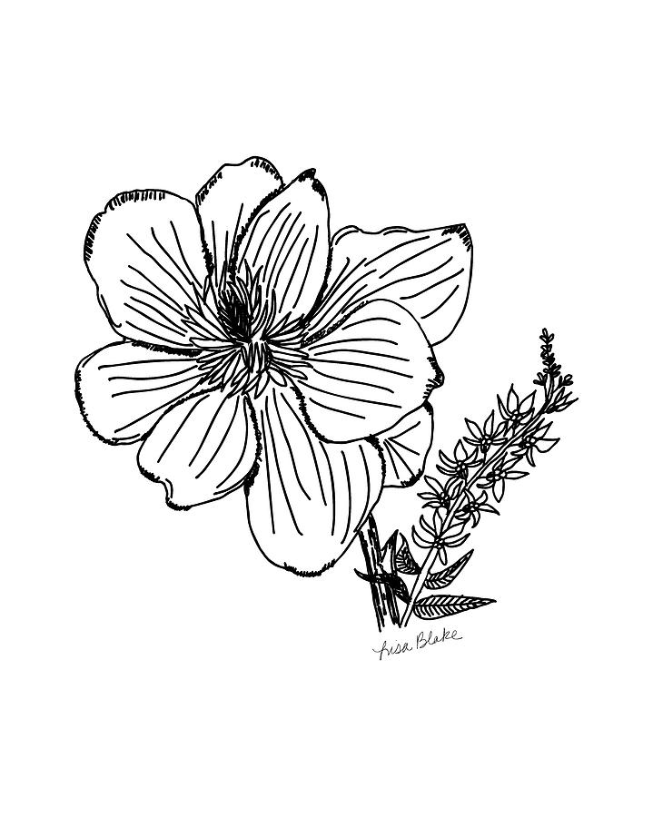719x900 black magnolia drawing - Magnolia Drawing
