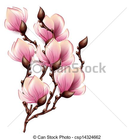 450x470 magnolia flower drawing step - Magnolia Flower Drawing
