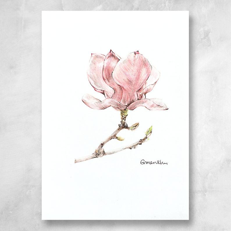 Magnolia Flower Drawing at PaintingValley.com | Explore collection of ...