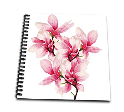 425x386 pretty watercolor magnolia flowers drawing book - Magnolia Flower Drawing