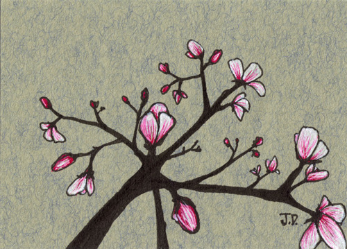 500x359 Magnolia Sketch - Magnolia Leaf Drawing