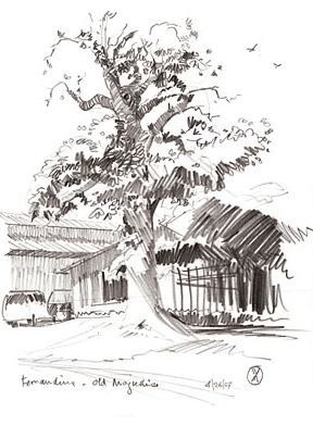 288x403 Magnolia Tree Maurer Fine Art, Original Watercolor And Acrylic - Magnolia Tree Drawing