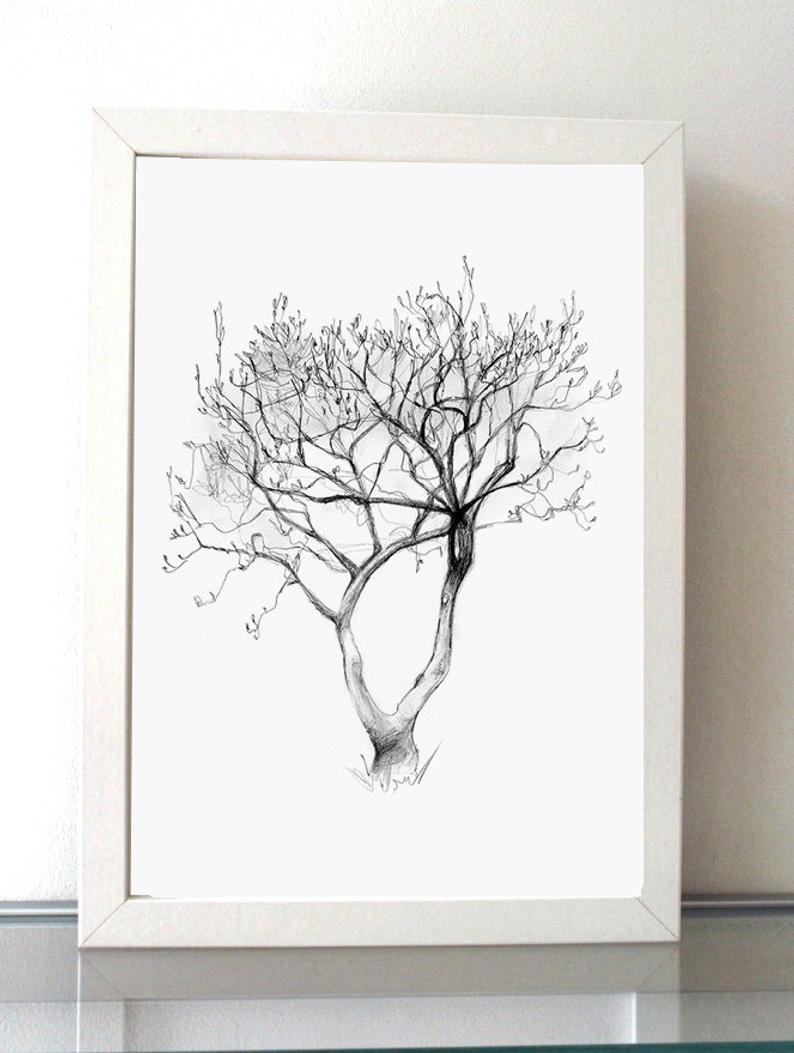 794x1053 Magnolia Tree Pencil Drawing Tree Art Giclee Print Or Etsy - Magnolia Tree Drawing