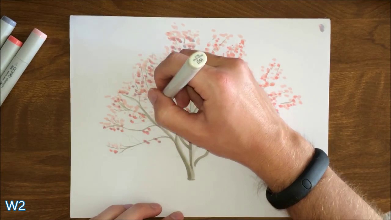1280x720 Drawing Magnolia Trees Using Copics With Randy Hunter - Magnolia Tree Drawing
