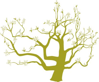 413x344 Southern Magnolia Tree Drawings Magnolia Tree Drawing Japanese - Magnolia Tree Drawing