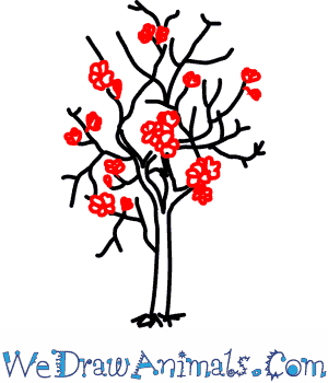 300x350 How To Draw A Magnolia Tree - Magnolia Tree Drawing