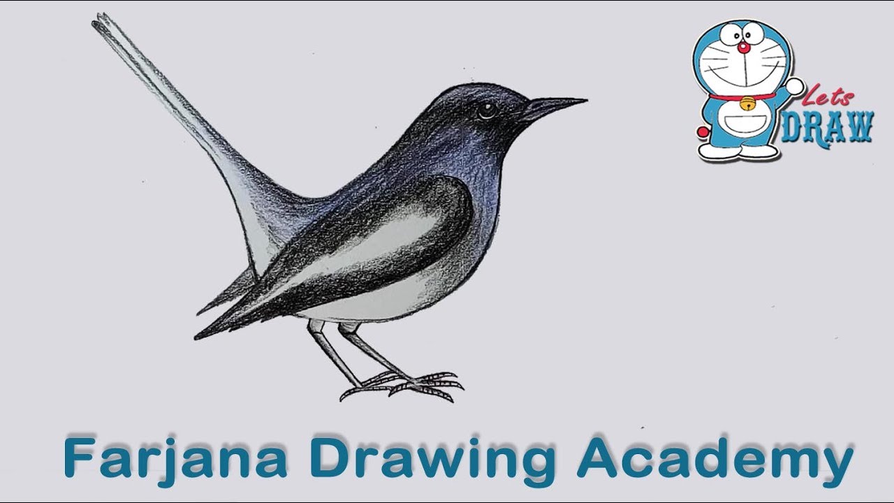 1280x720 how to draw magpie step - Magpie Drawing
