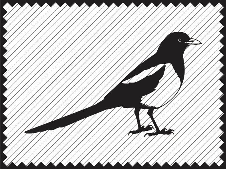 794x592 magpie magpie clipart magpie drawing laser etsy - Magpie Drawing