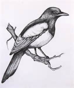 253x300 magpie tattoo arte, siluetas and bordado - Magpie Drawing