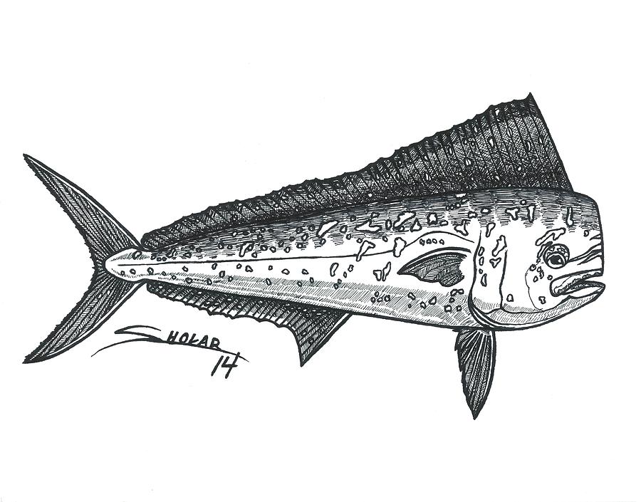 Mahi Drawing at Explore collection of Mahi Drawing