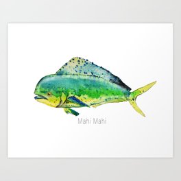 264x264 mahi mahi art prints - Mahi Drawing