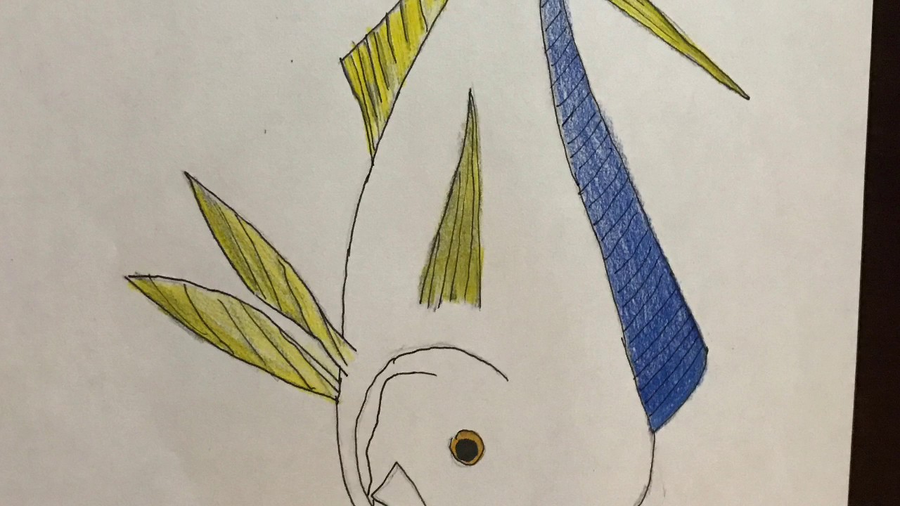 1280x720 mahi mahi drawing - Mahi Drawing