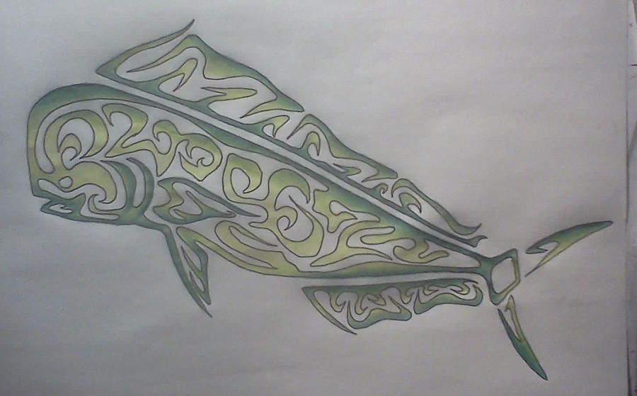 900x559 mahi mahi drawing - Mahi Drawing