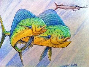 300x224 el dorados drawing - Mahi Drawing