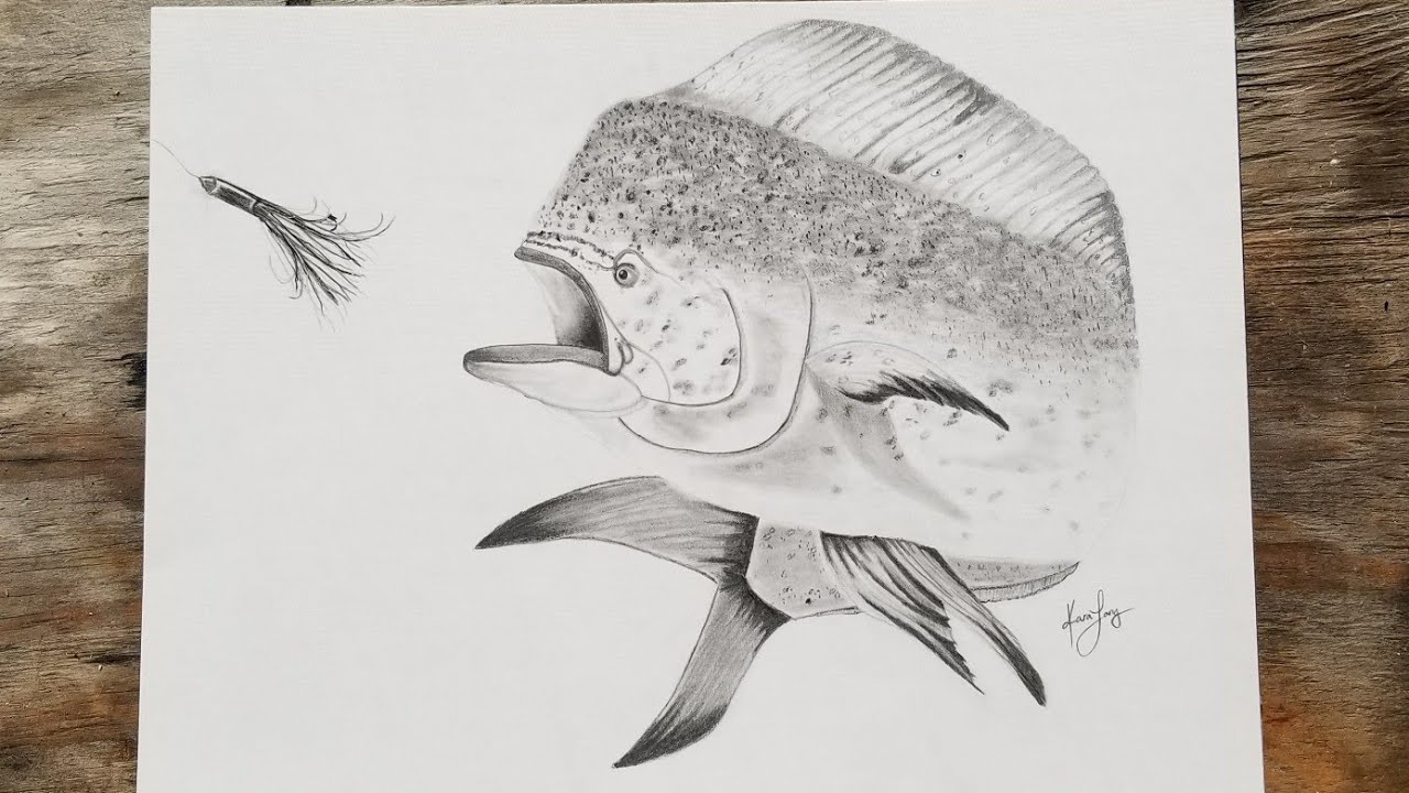 Mahi Drawing at Explore collection of Mahi Drawing