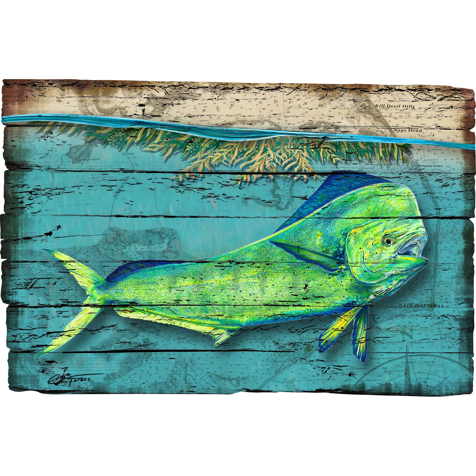 1600x1600 mahi chart trap - Mahi Mahi Drawing