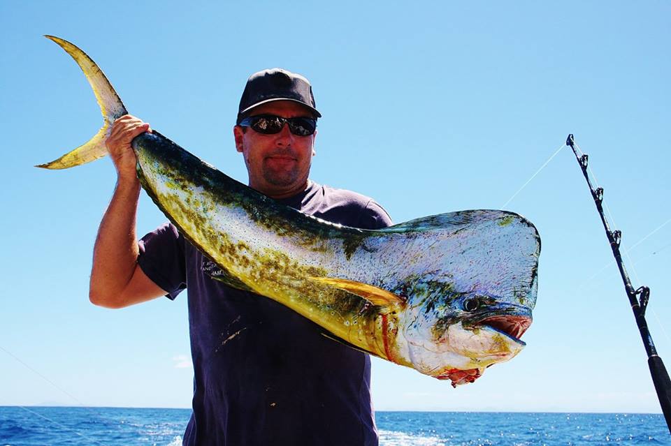 960x639 mahi mahi - Mahi Mahi Drawing