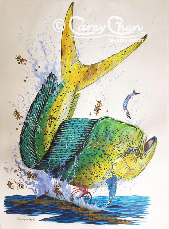 550x745 mahi mahi carey chen, marine artist - Mahi Mahi Drawing