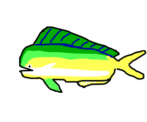 300x250 mahi mahi drawing - Mahi Mahi Drawing