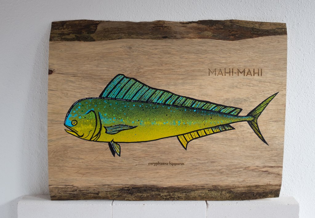 1024x709 mahi mahi painted on wood peter perch fish art shop - Mahi Mahi Drawing