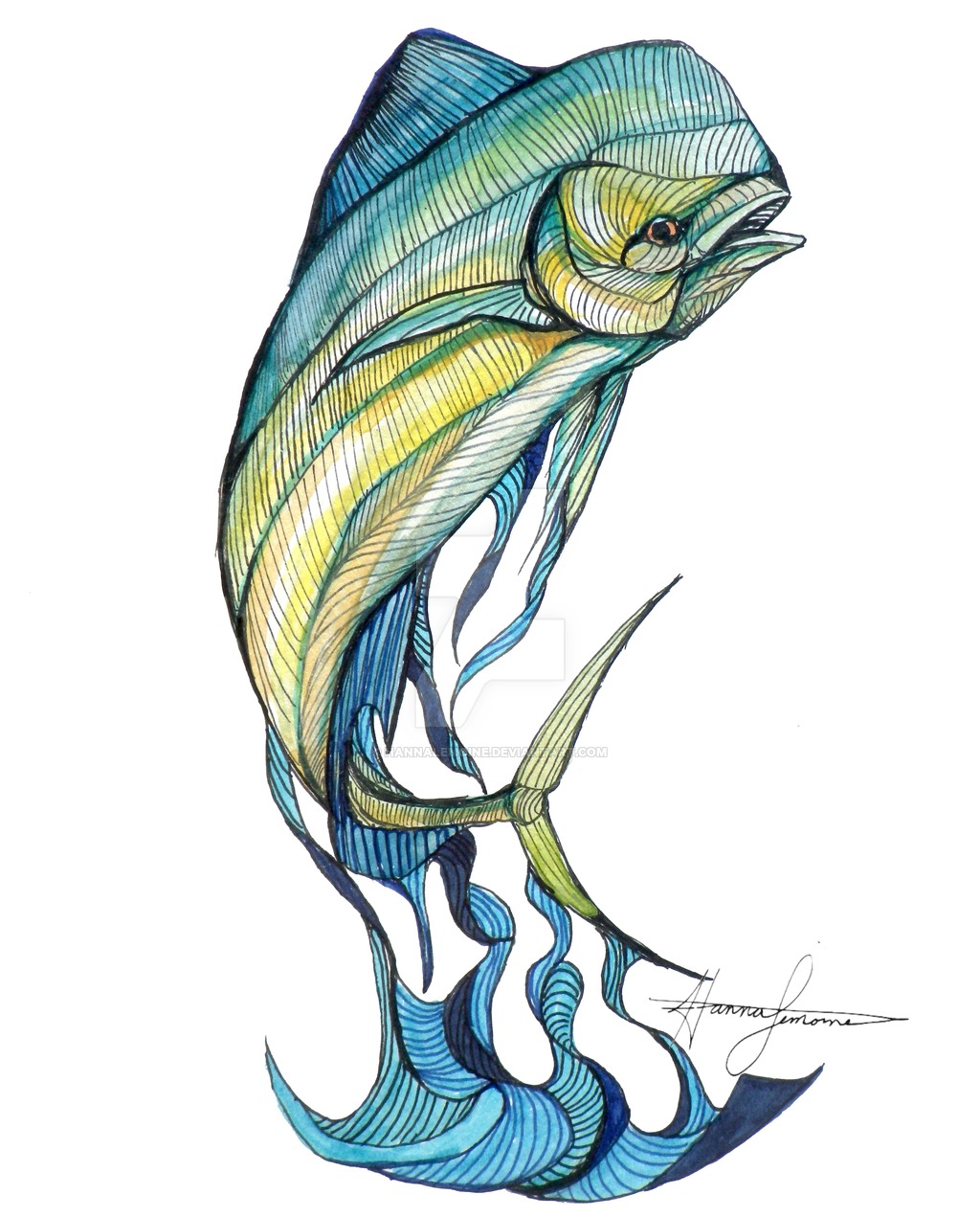 1024x1271 pictures of mahi mahi drawing - Mahi Mahi Drawing