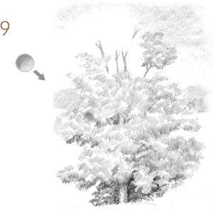 300x301 How To Draw A Landscape With Painterly Style With Graphite Alone - Main Drawing