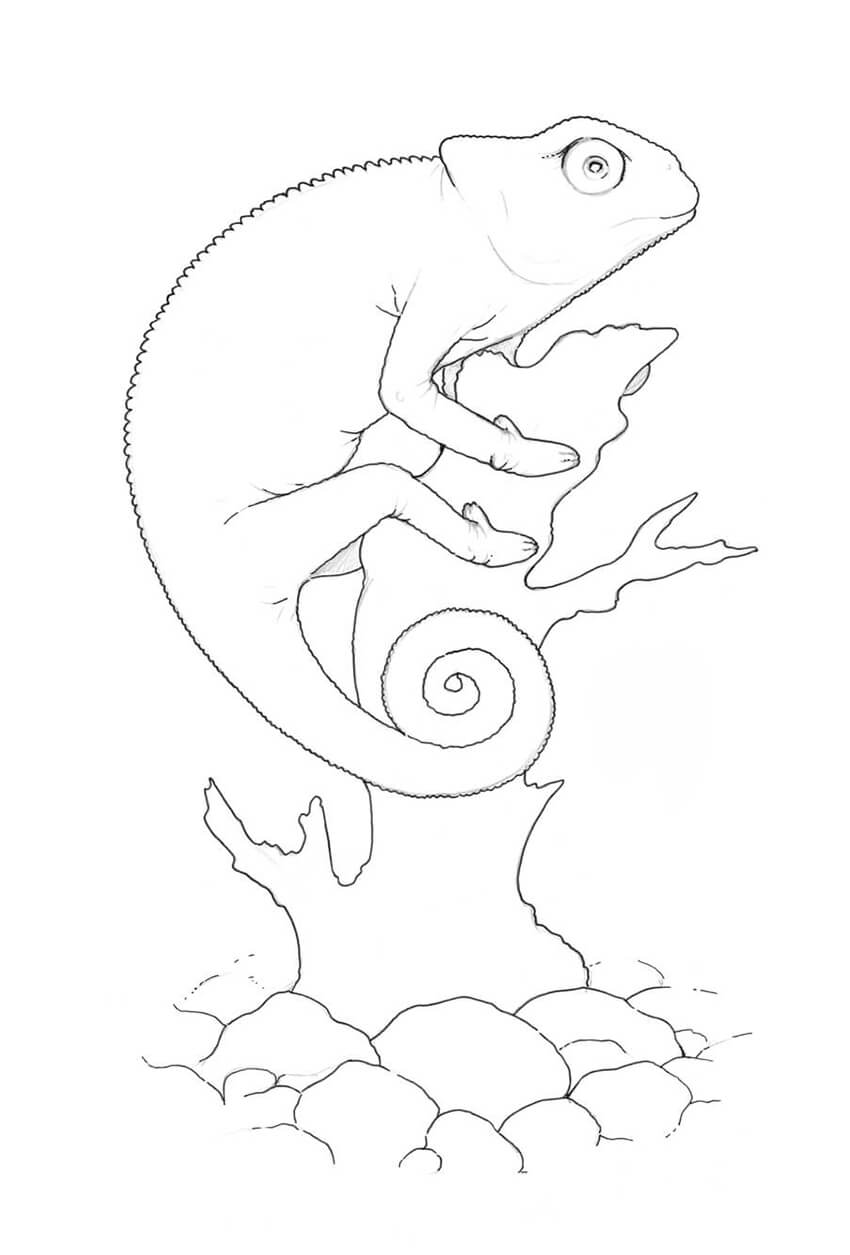 850x1255 How To Draw A Lizard With Ink Liners - Main Drawing