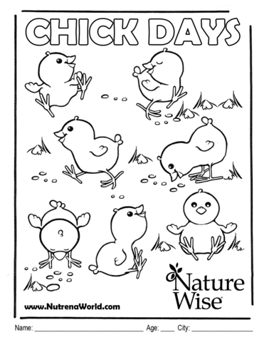 371x480 Chick Drawing Contest Meader Supply Corp - Main Drawing