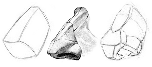 600x265 How To Draw A Nose Anatomy And Structure Proko - Major Drawing