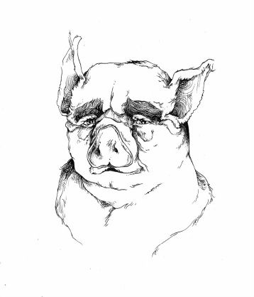 358x418 old major - Major Drawing