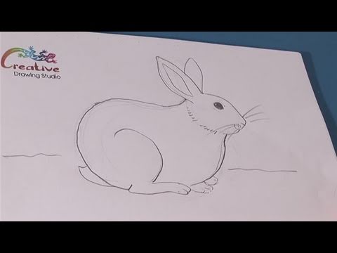 480x360 How To Create Cute Bunny Drawings - Make Drawing