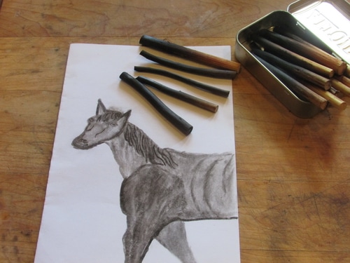 500x375 How To Make Willow Charcoal For Artists Farm Diy - Make Your Own Drawing