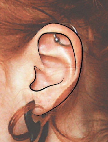 355x463 Make Your Own Cartoons, Tutorials Sanwebe - Make Your Own Drawing