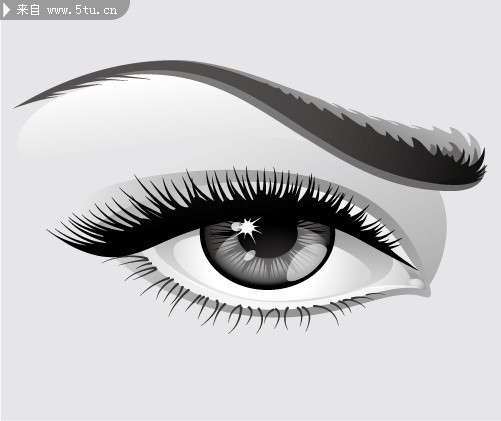 501x421 Eye Makeup Drawings - Makeup Drawings
