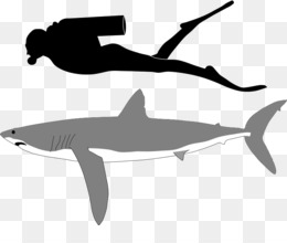 260x220 mako shark png - Mako Shark Drawing