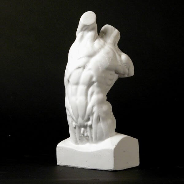 600x600 drawing plaster cast male torso - Male Anatomy Drawing