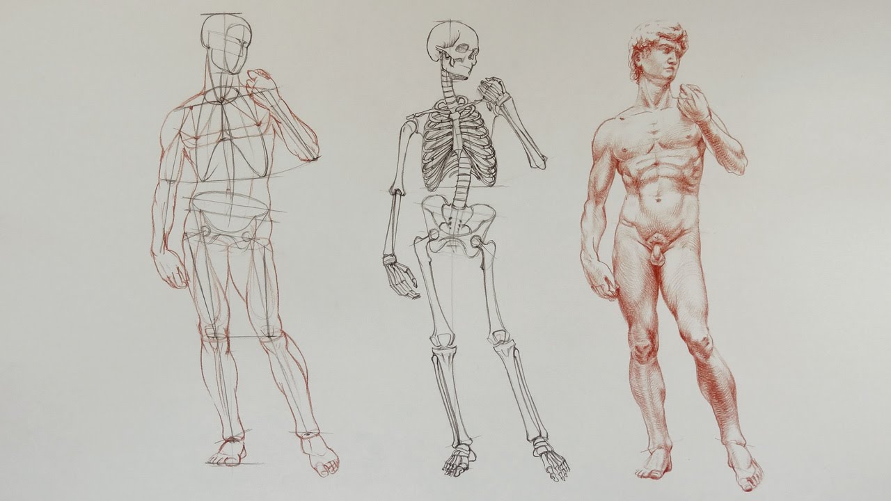 1280x720 How To Draw A Man - Male Anatomy Drawing