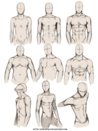 400x537 male anatomy tumblr - Male Anatomy Drawing