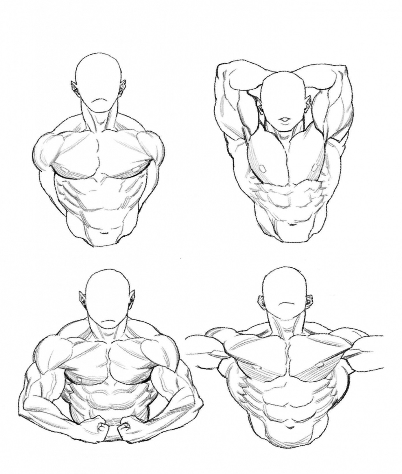1390x1638 the male anatomy - Male Anatomy Drawing