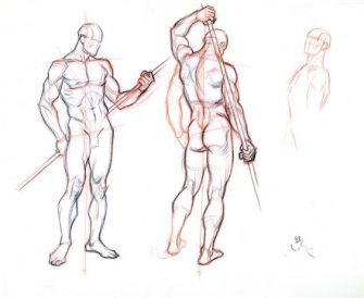 335x274 character design collection male anatomy - Male Anatomy Drawing