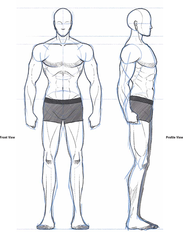 600x757 drawing the stereotypical male body - Male Body Drawing