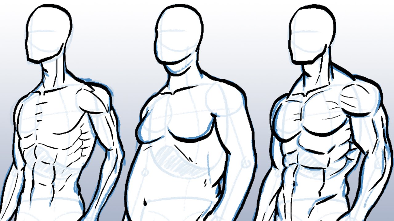 1280x720 How To Draw Different Body Types - Male Body Drawing