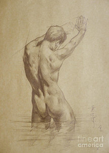 215x300 Male Body Drawings - Male Body Drawing