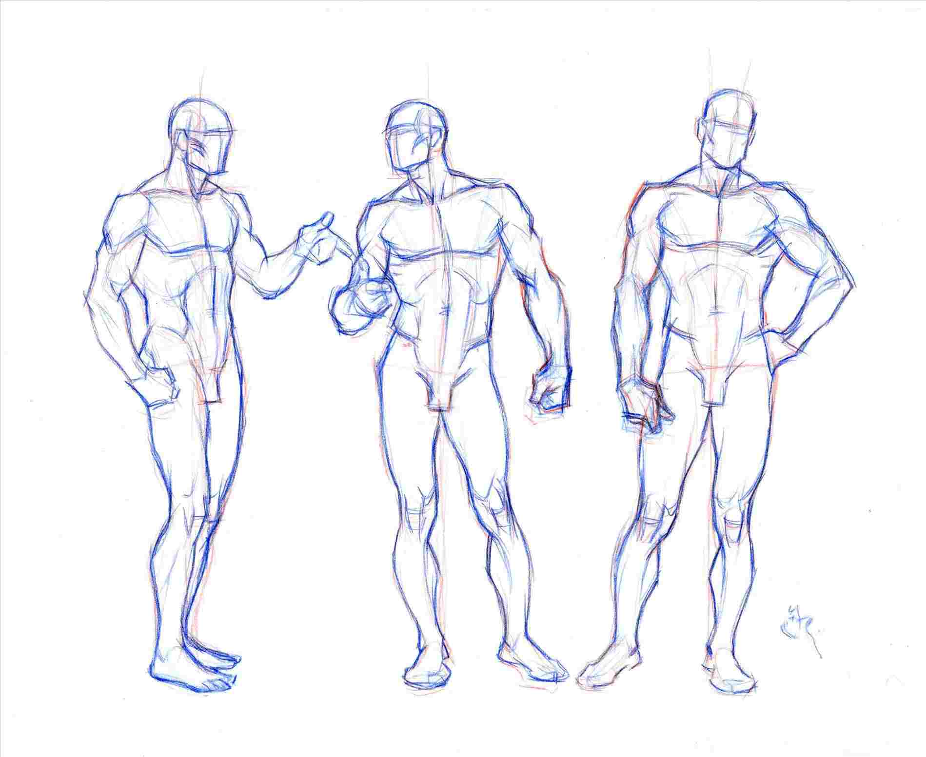 Featured image of post Muscular Male Body Drawing Reference