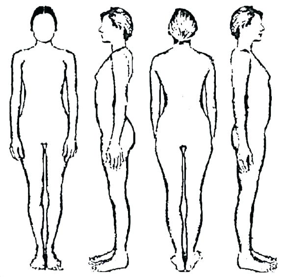 585x566 Draw Female Body Human Drawing Template How To Torso - Male Body Drawing Template