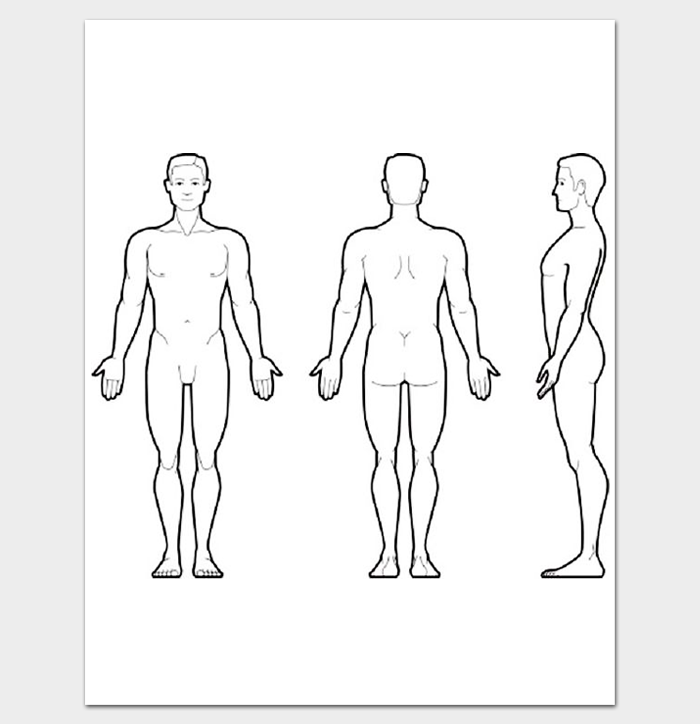 700x724 human body outline front and back pdf outline templates - Male Body Outline Drawing