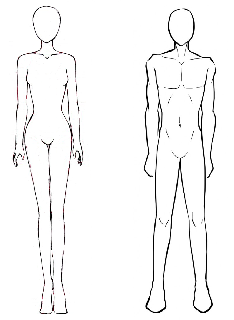 800x1094 Male And Female Body Outlines Draws In Body Template - Male Body Outline Drawing