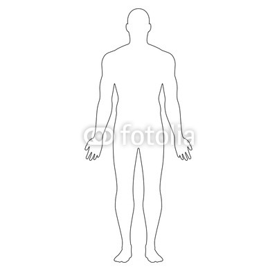 400x391 Anatomical Position Anterior View Male Body Vector Outline Buy - Male Body Outline Drawing
