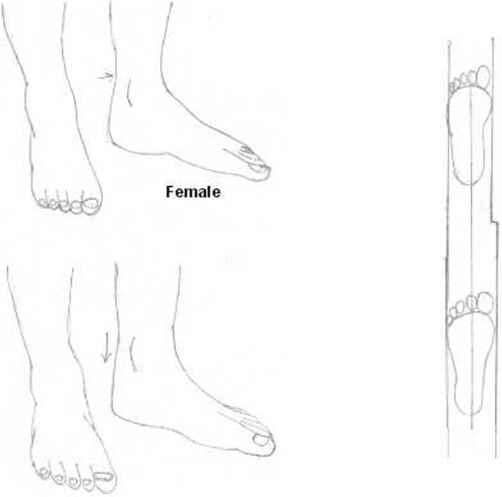 502x497 Anime Body Drawing - Male Body Outline Drawing